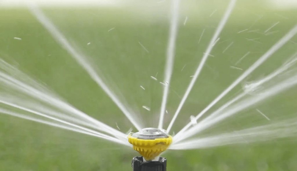 It Is Recommended That Property Owners Water Eureka Turf Every 7 to10 Days