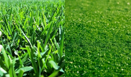 Real Vs Artificial Grass