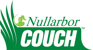 Nullarbor Couch Grass Grech's Turf