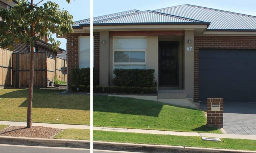 Before and After shots for greener grass with Lawn Solutions Australia ColourGuard