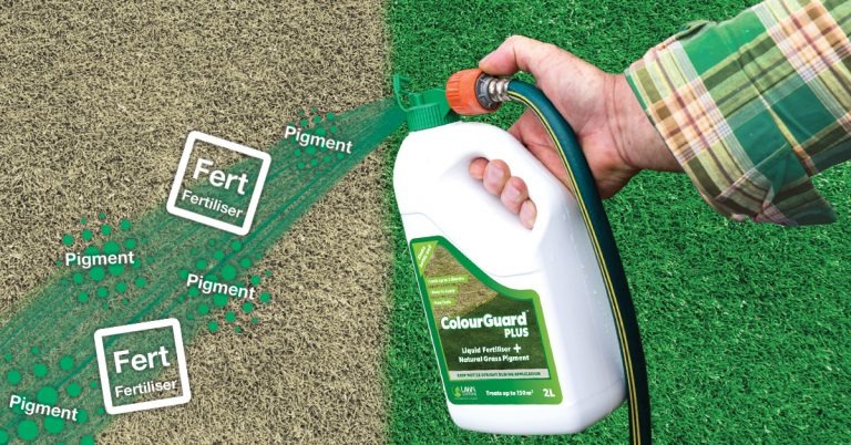 Lawn Painting Benefits