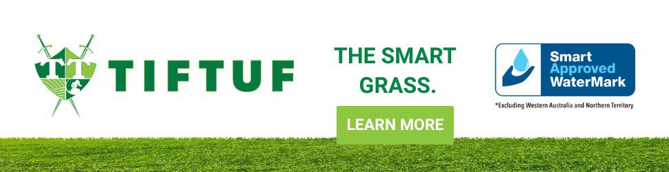 Tiftuf the smart grass alternative